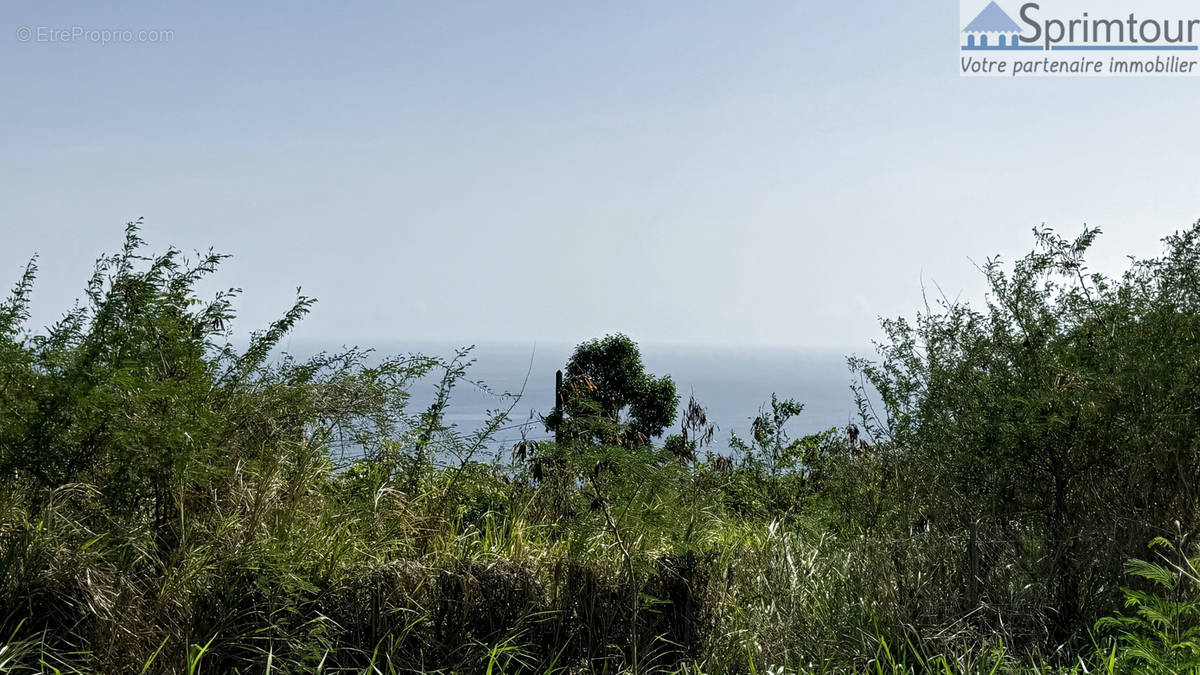 Terrain à VIEUX-HABITANTS