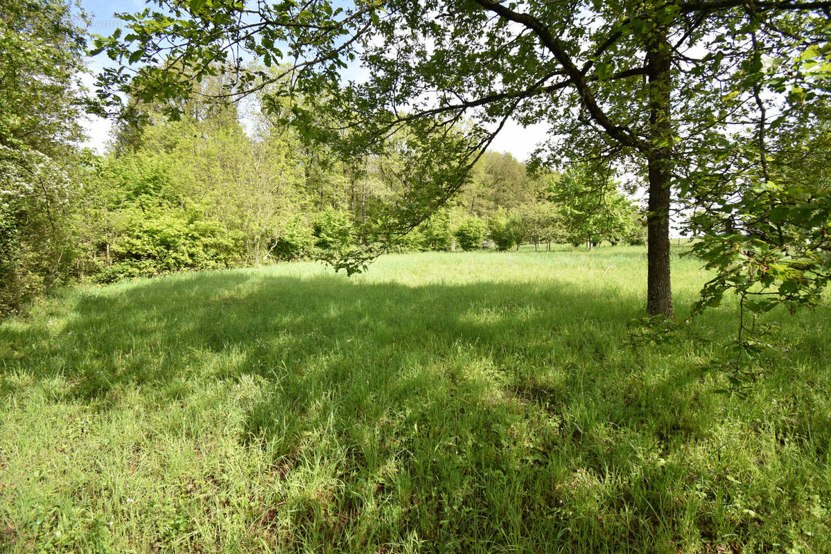 Terrain à LUIGNY