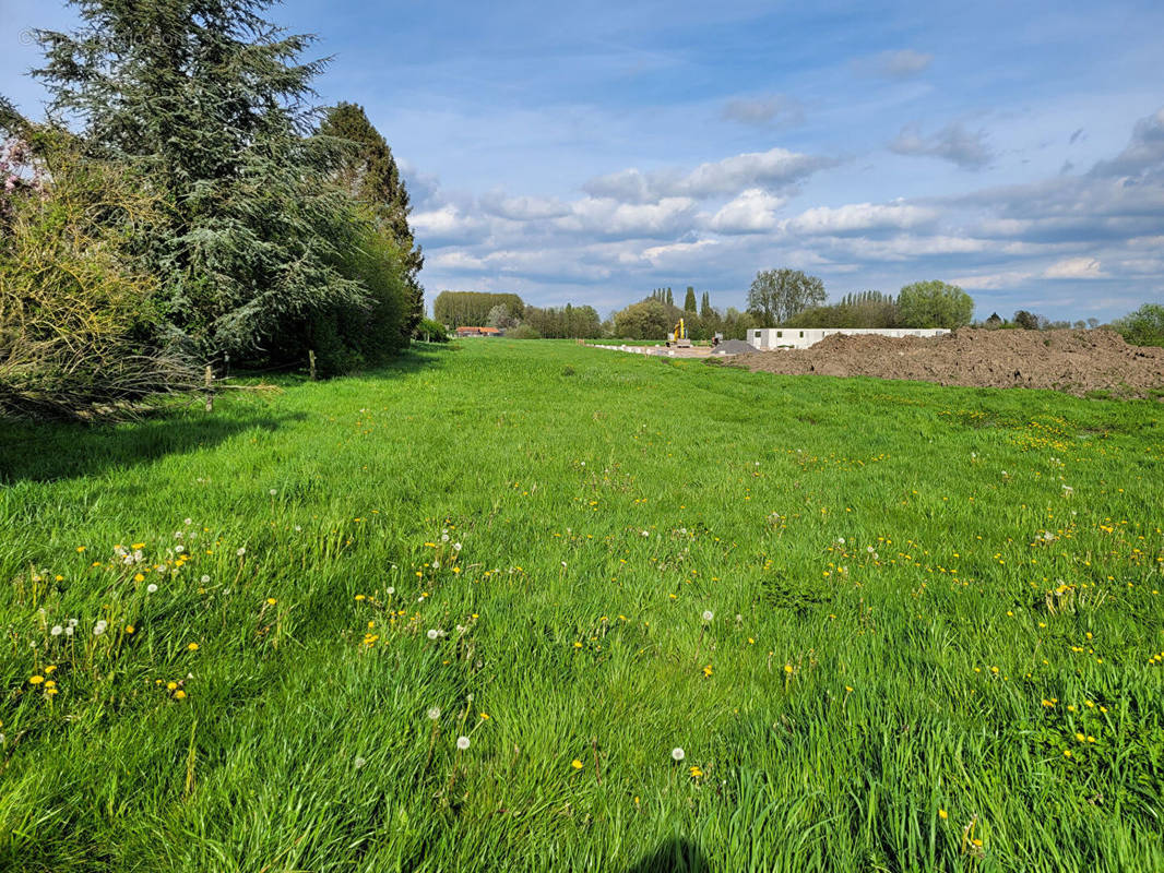 Terrain à ORCHIES