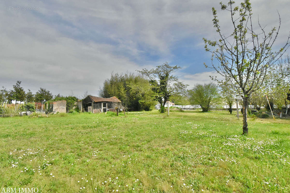 Terrain à BERGERAC