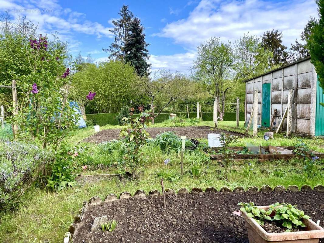 Jardin - Maison à PREVELLES