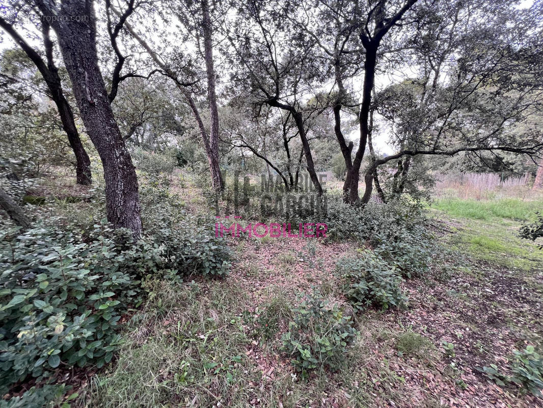 Terrain à VILLENEUVE-LES-AVIGNON