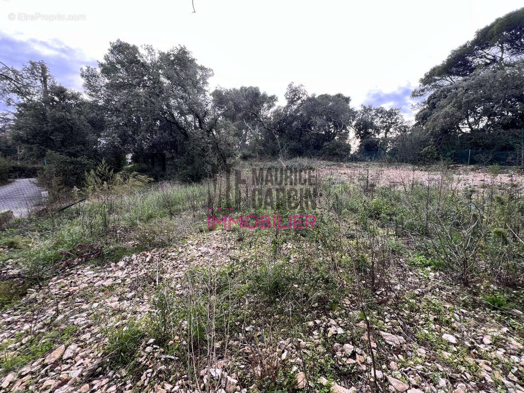 Terrain à VILLENEUVE-LES-AVIGNON