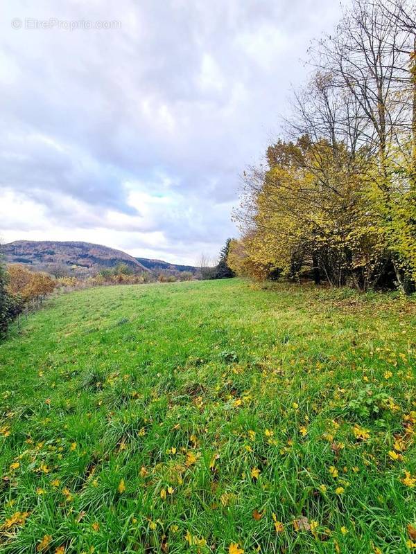 Terrain à NANS-SOUS-SAINTE-ANNE