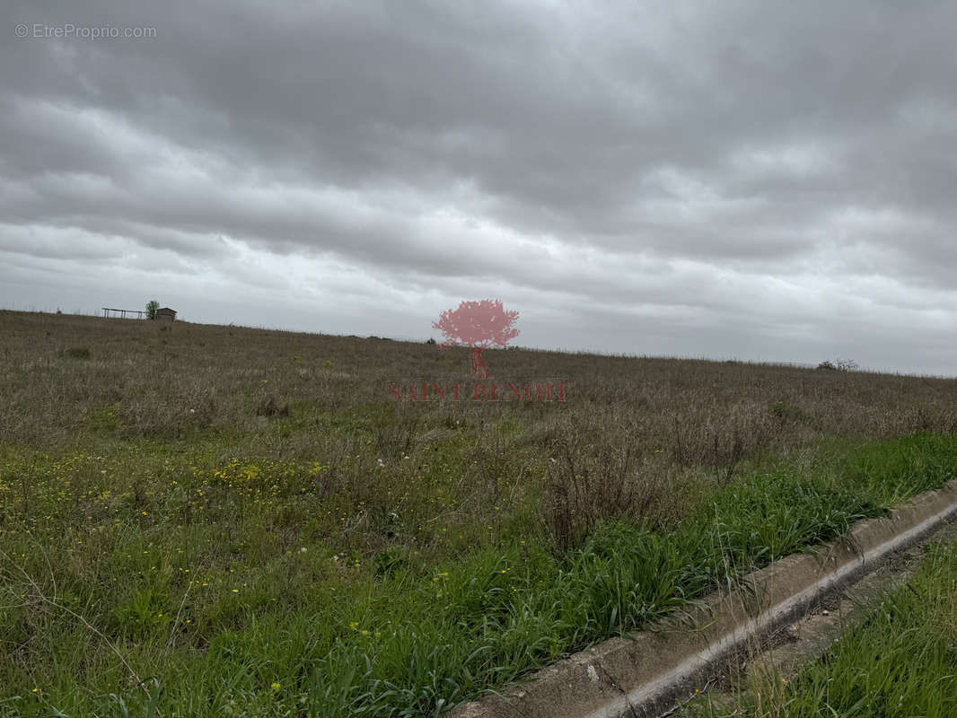 Terrain à SAINT-ANDRE-DE-SANGONIS