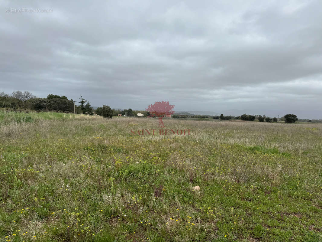 Terrain à SAINT-ANDRE-DE-SANGONIS