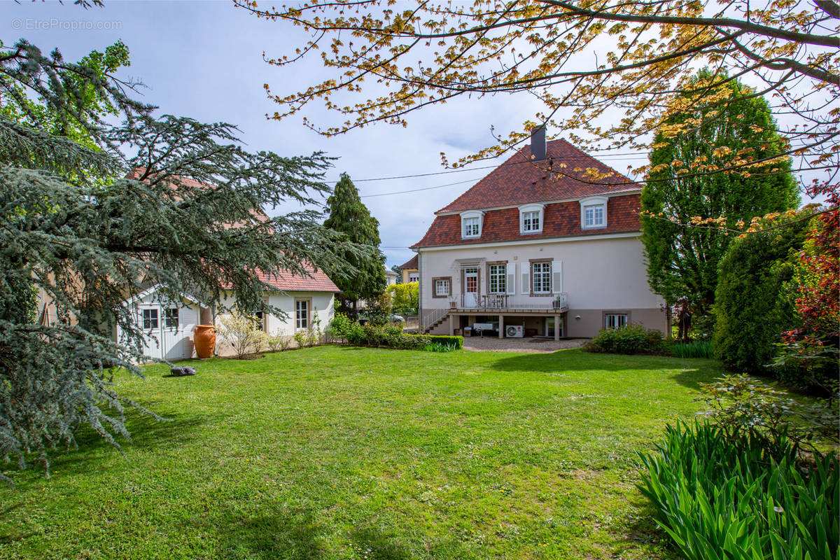 Maison à OBERNAI