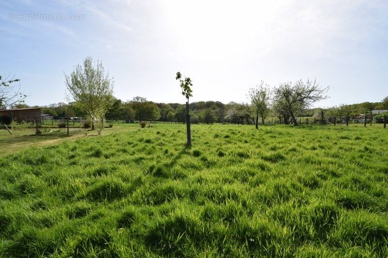 Terrain à SAINT-GERMAIN-DU-BOIS