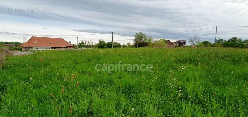 Terrain à LOUHANS