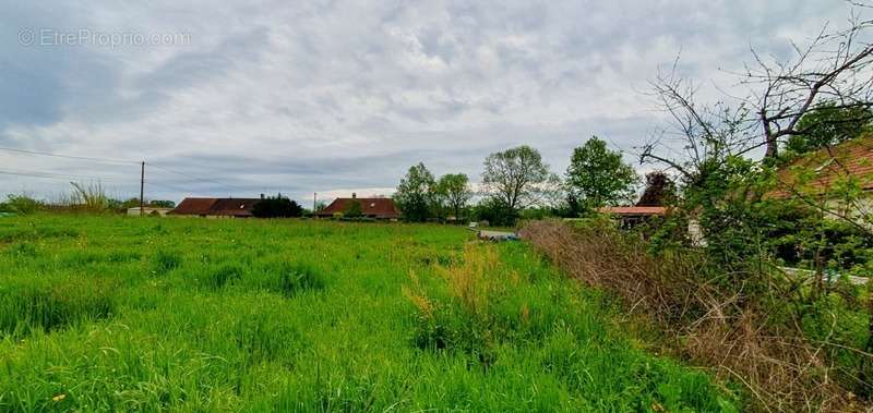 Terrain à LOUHANS