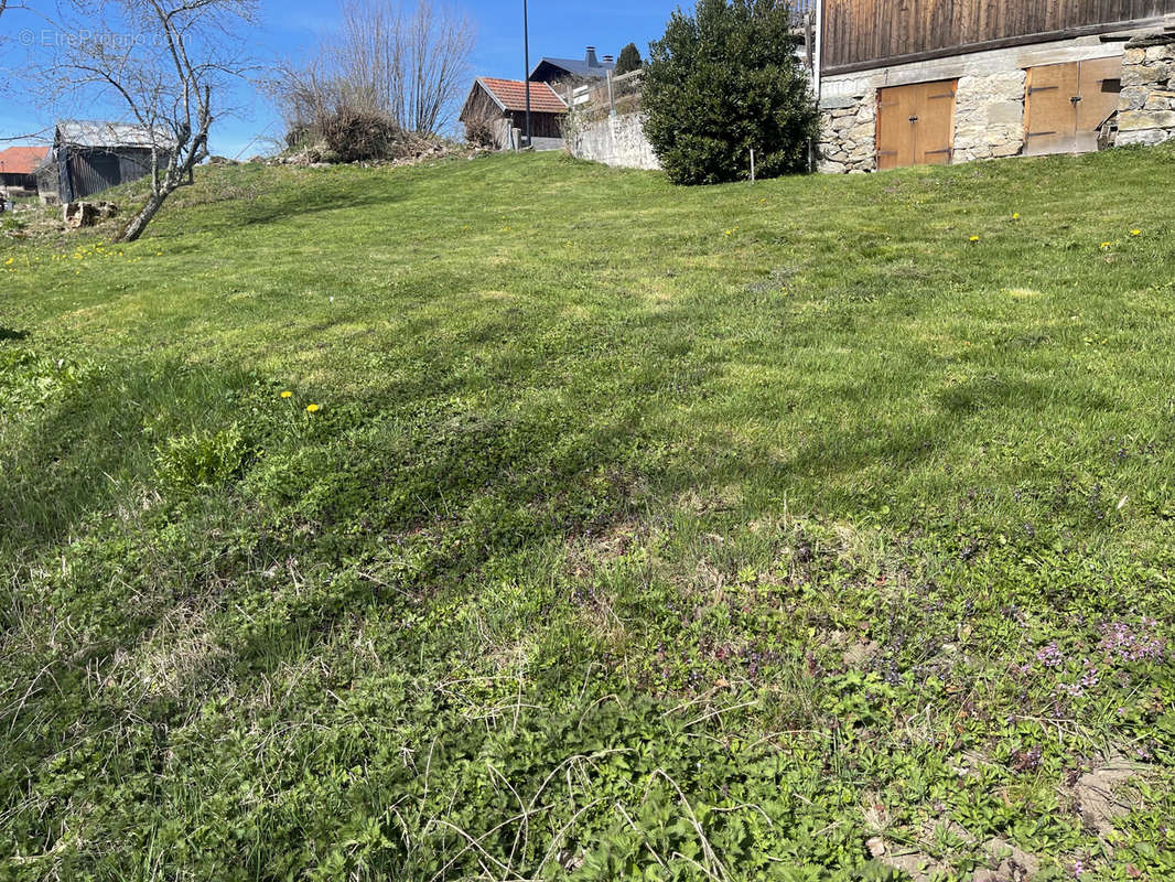 Terrain à THOLLON-LES-MEMISES