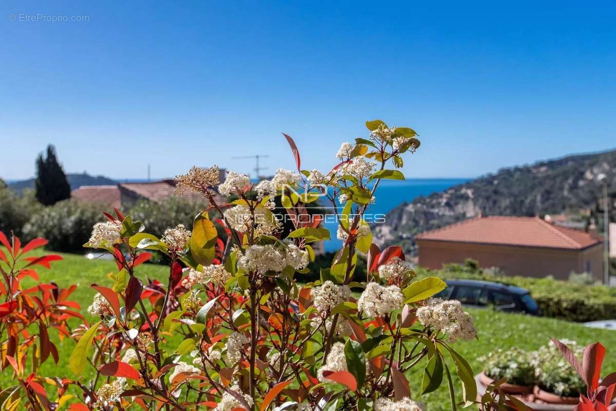 Appartement à VILLEFRANCHE-SUR-MER