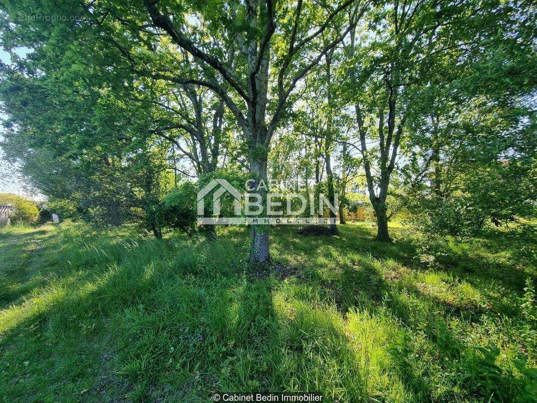 Terrain à ANDERNOS-LES-BAINS