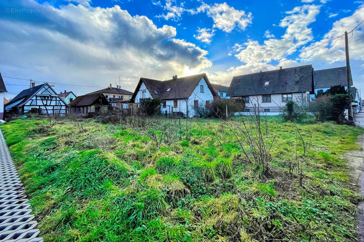 Terrain à SCHIRRHEIN