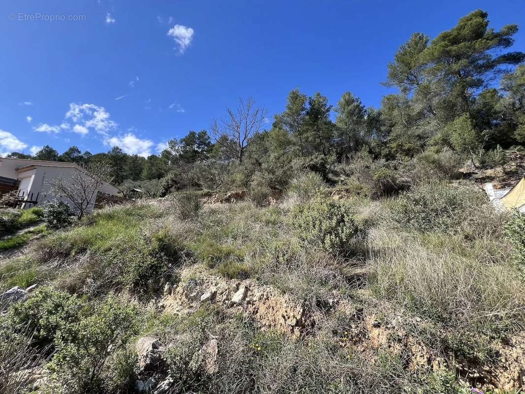 Terrain à CABASSE