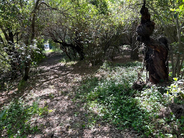 Terrain à SETE