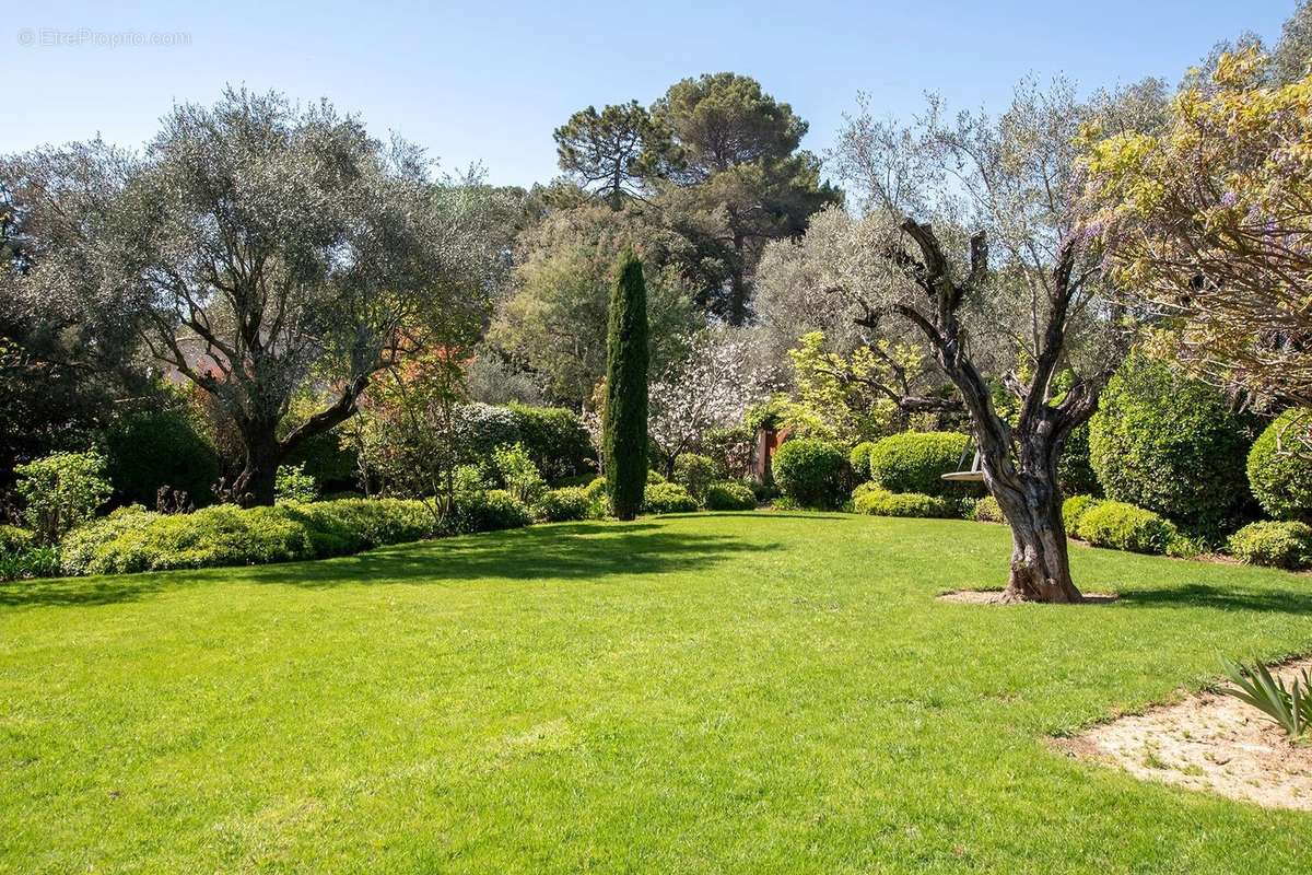 Maison à ROQUEFORT-LES-PINS