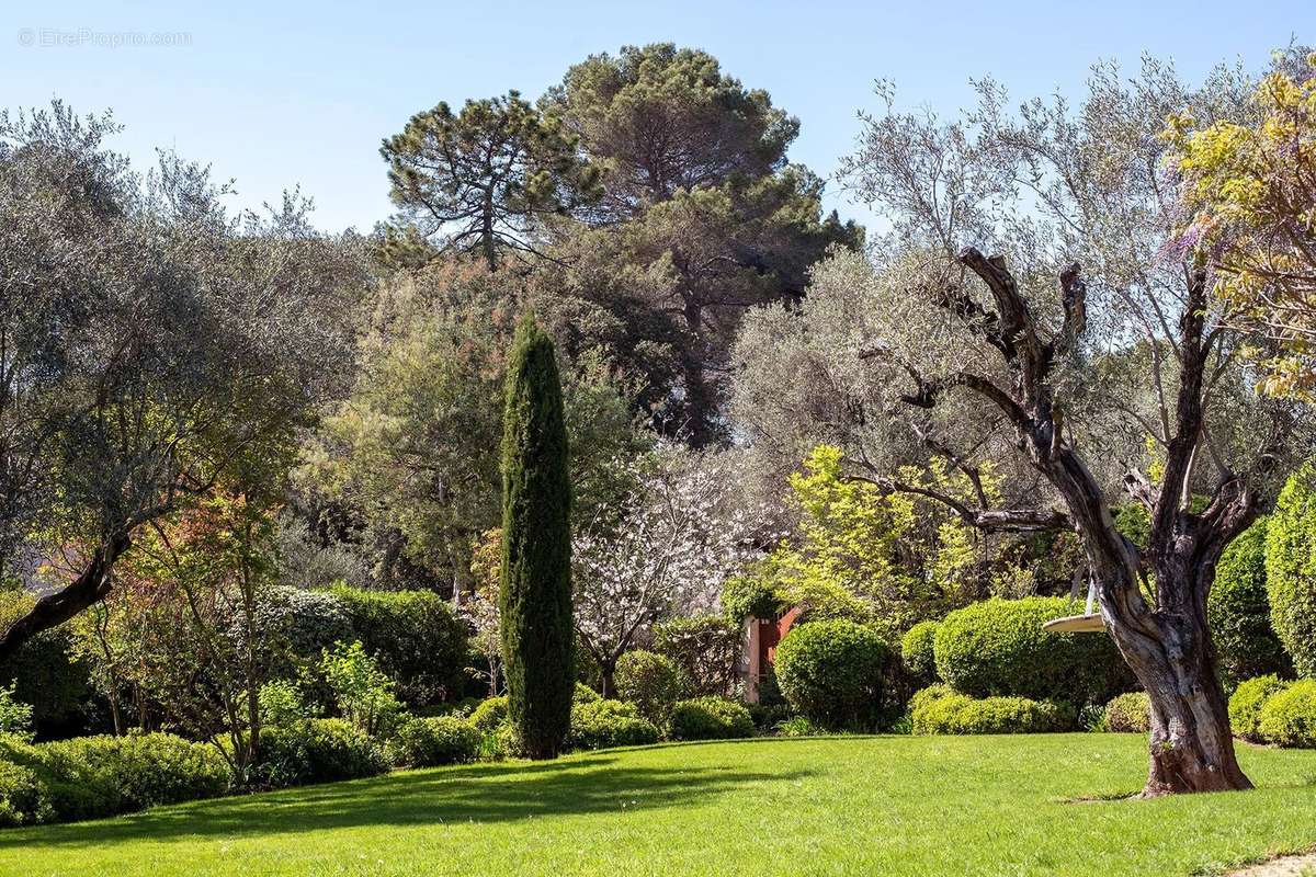 Maison à ROQUEFORT-LES-PINS