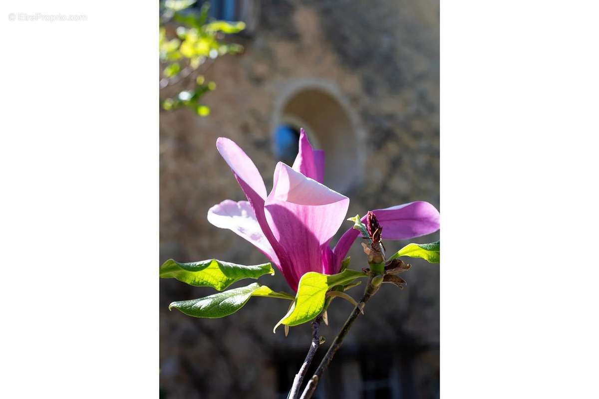 Maison à ROQUEFORT-LES-PINS