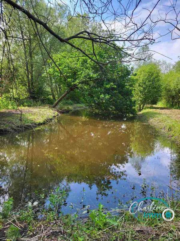 Terrain à FONTAINE-SUR-SOMME