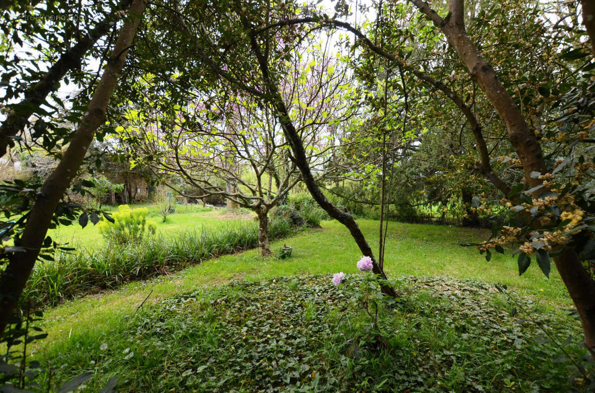 Jardin - Garden - 4 - Maison à CAZAUX-D&#039;ANGLES