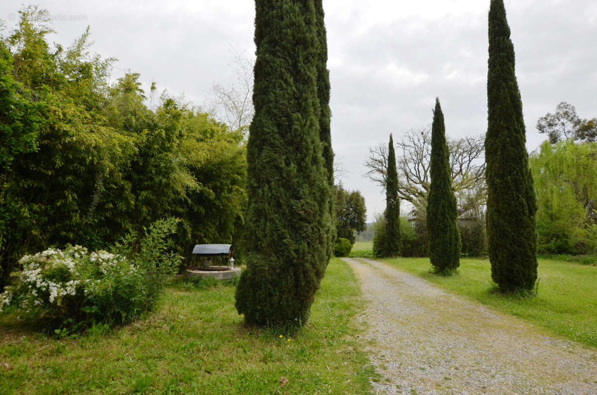 Puits - well - Maison à CAZAUX-D&#039;ANGLES