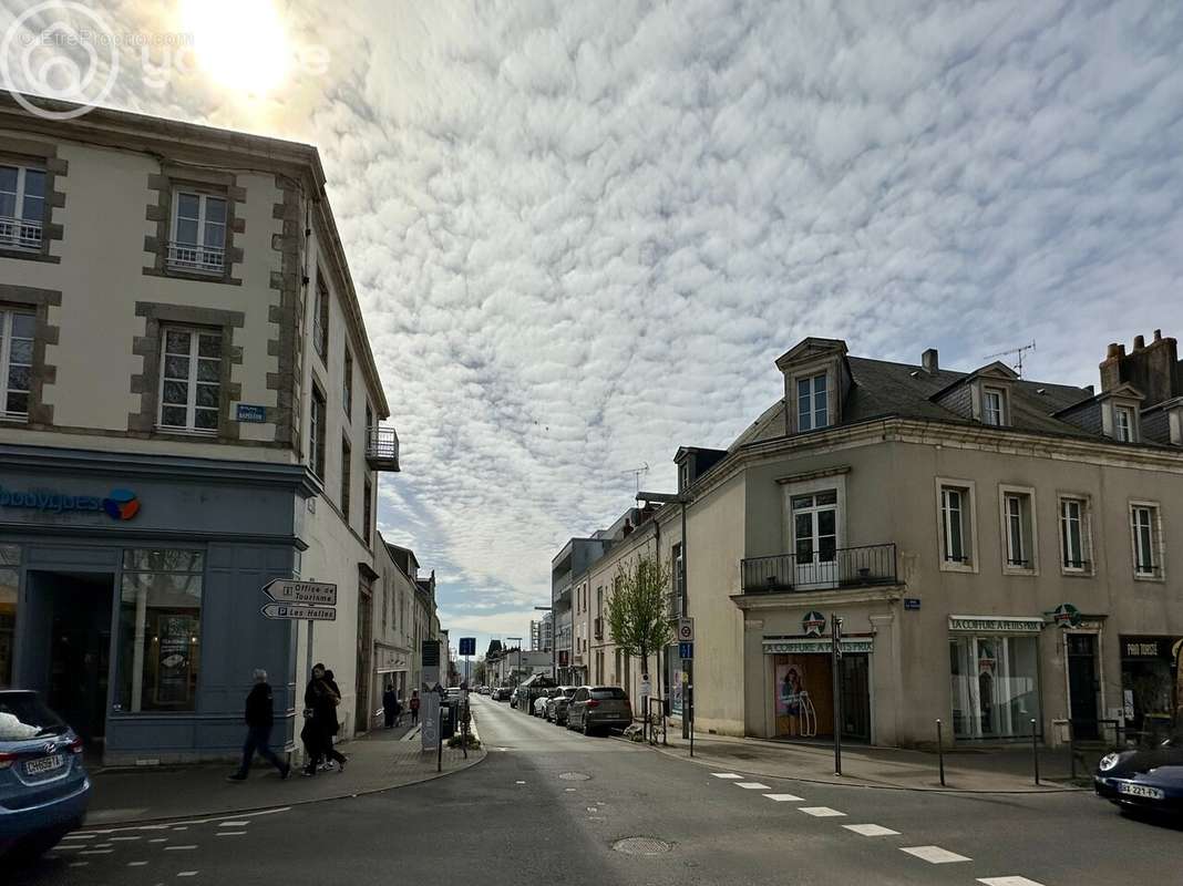 Commerce à LA ROCHE-SUR-YON