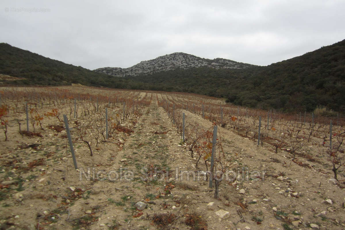 Terrain à LESQUERDE