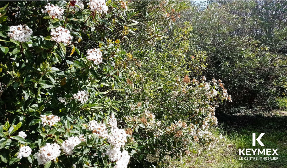 Terrain à VELAUX