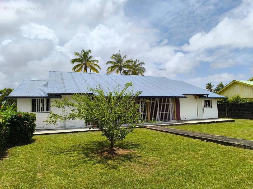 Maison à CAYENNE