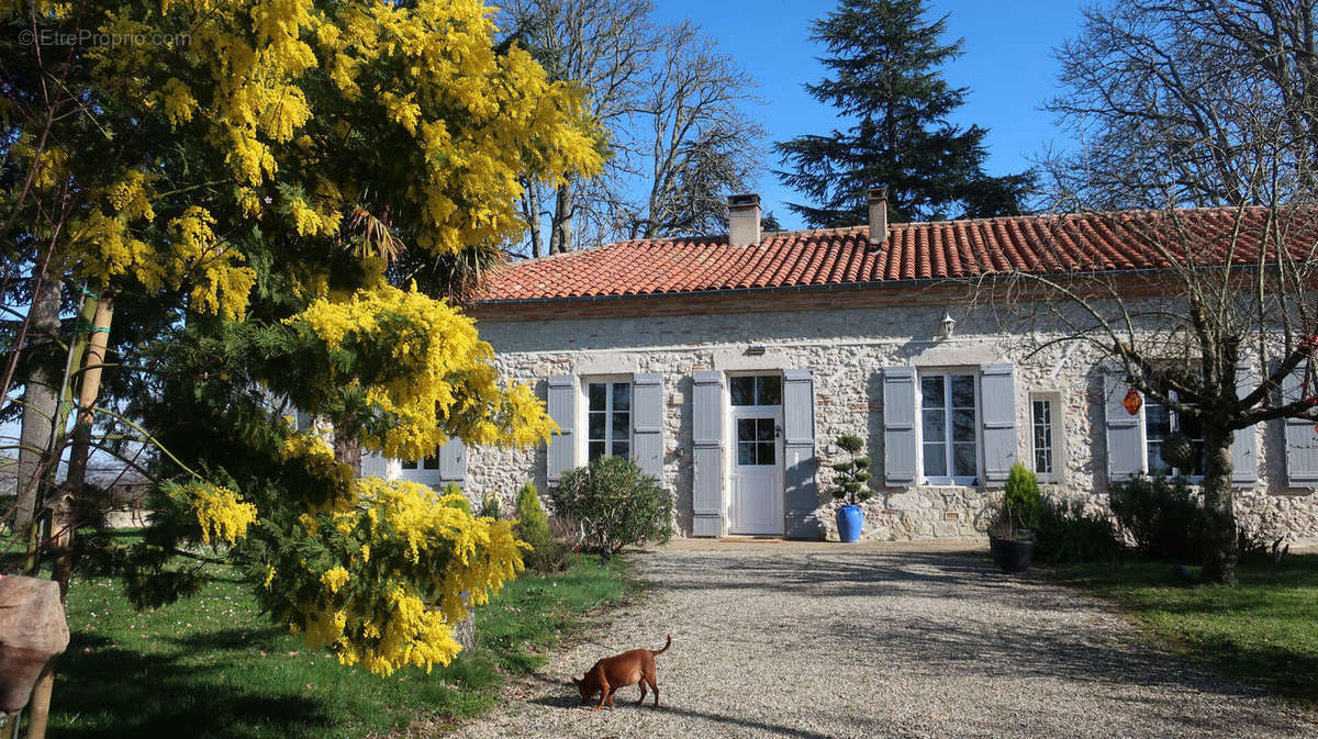 Maison à AGEN