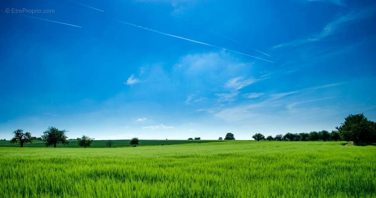 Terrain à L&#039;AIGUILLON-SUR-VIE