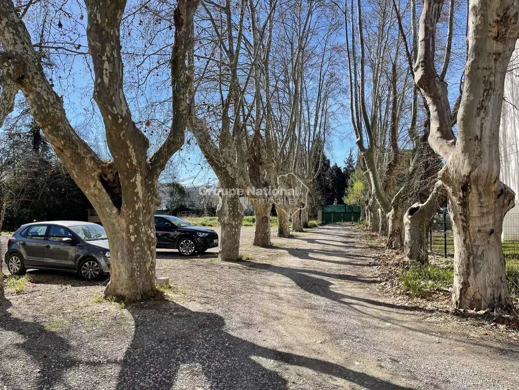 Appartement à AVIGNON