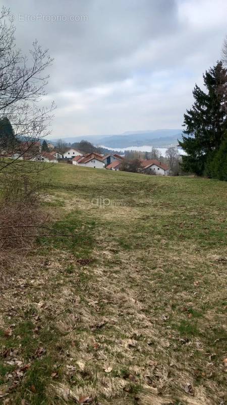 Terrain à MONTPERREUX