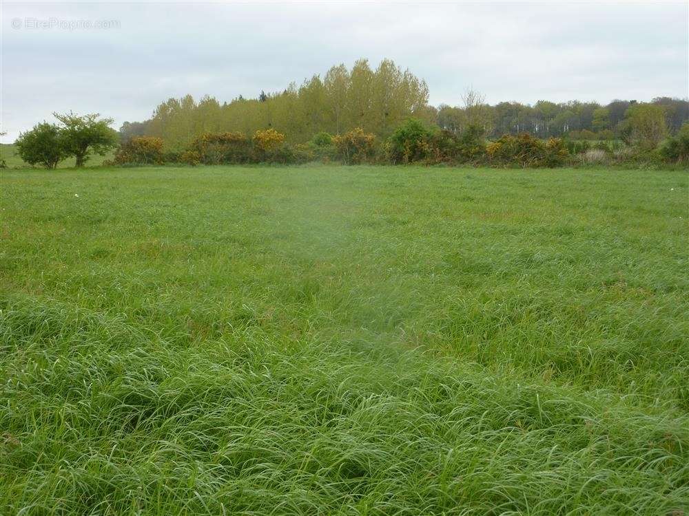 Terrain à MAYENNE