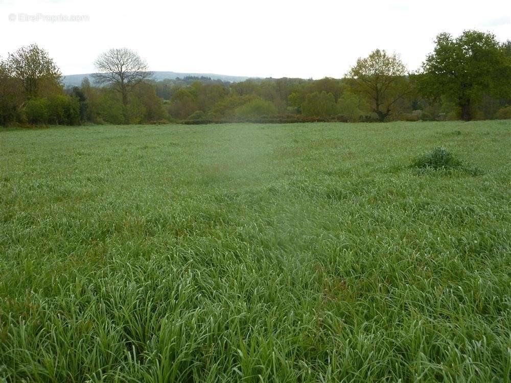 Terrain à MAYENNE