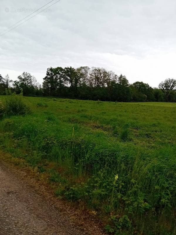 Terrain à LA CHAPELLE-DU-BOIS-DES-FAULX