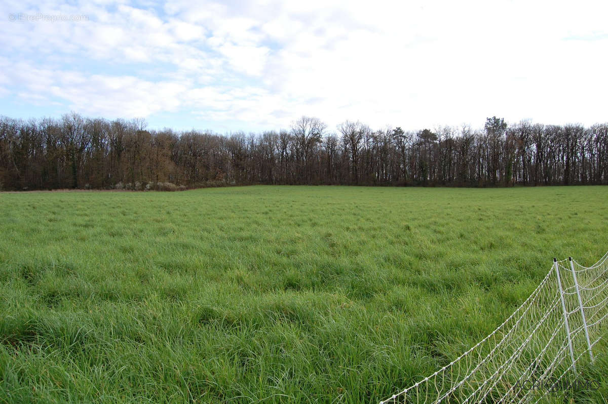 Terrain à PERIGUEUX