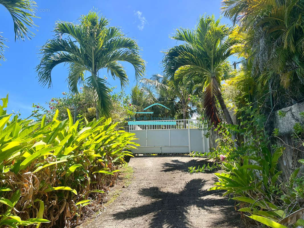 Maison à GOYAVE