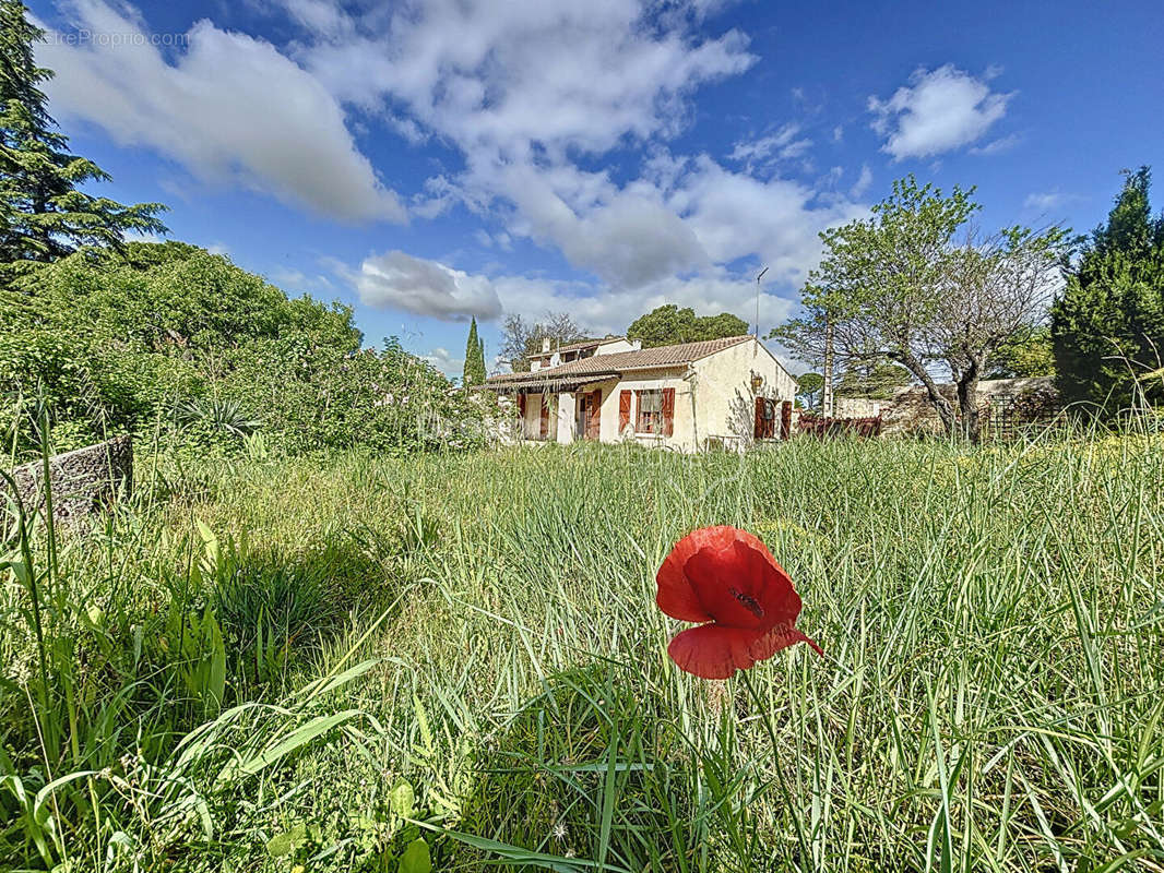 Maison à ORANGE