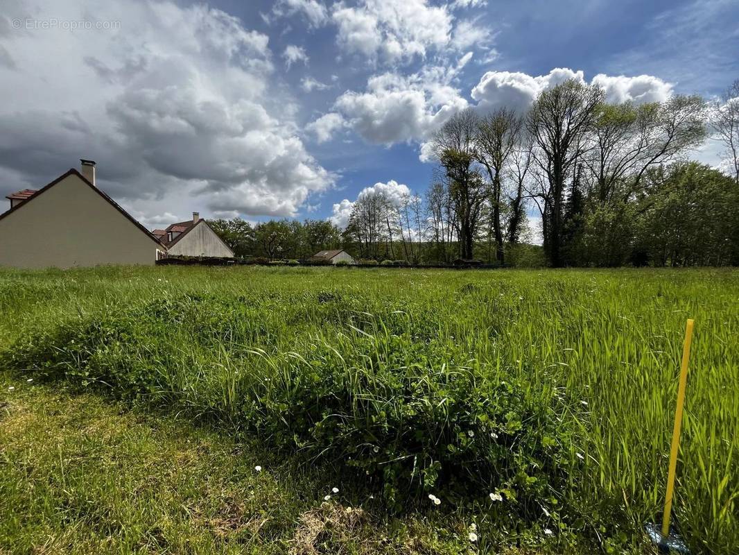 Terrain à DOURDAN