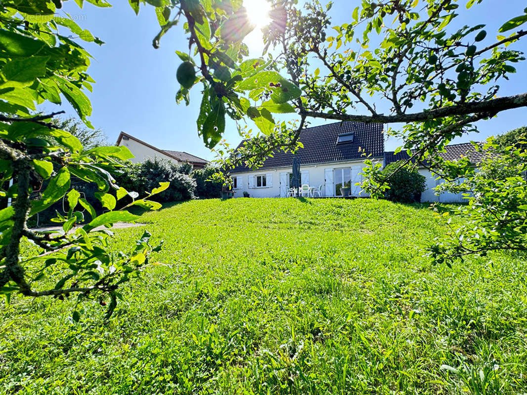 Maison à LUNEVILLE