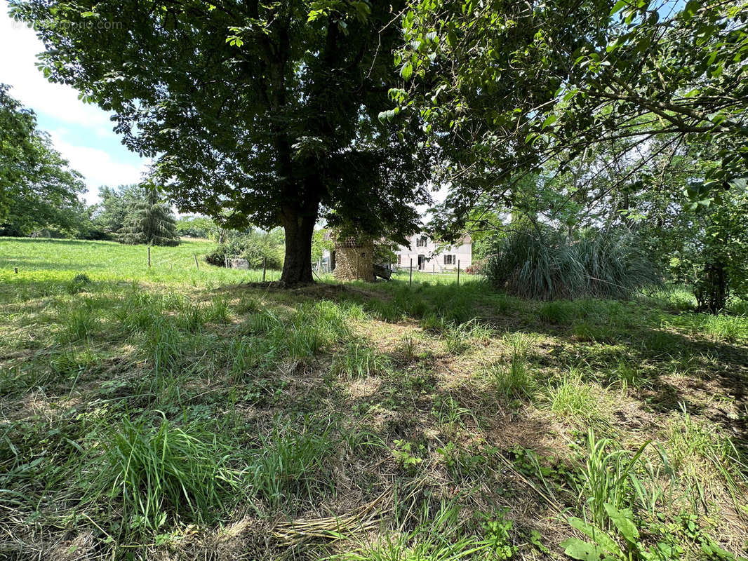 Maison à SAUVETERRE