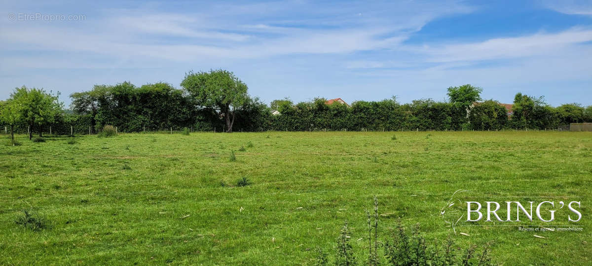 Terrain à EPUISAY