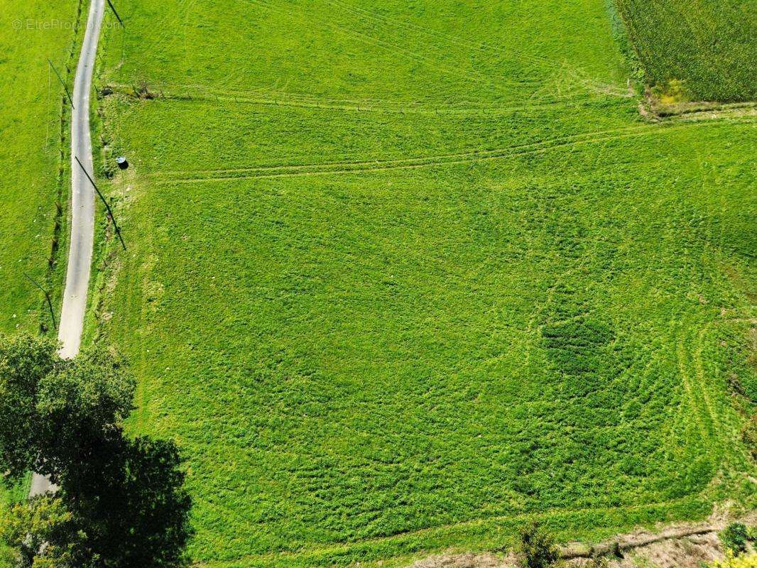 Terrain à ORRIULE