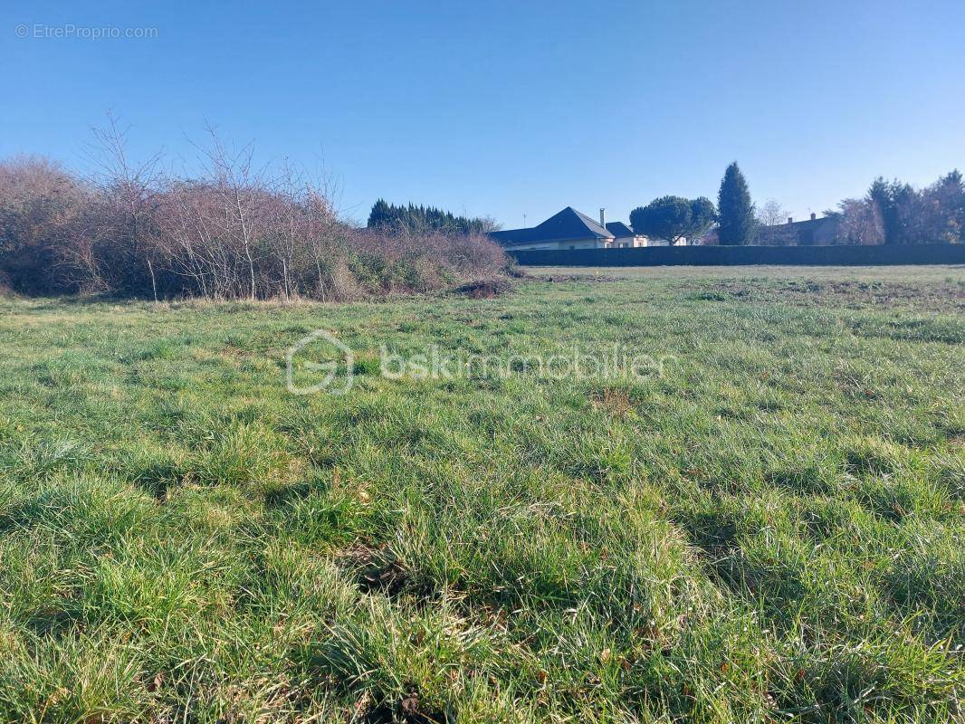 Terrain à LA CROIX-EN-TOURAINE