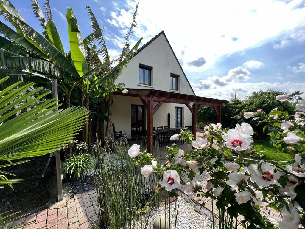 Maison à BETTON