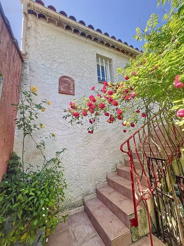 Maison à MONTFORT-SUR-ARGENS