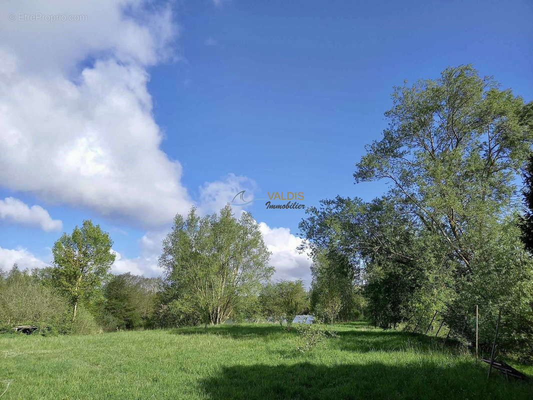 Terrain à BUCY-LE-LONG