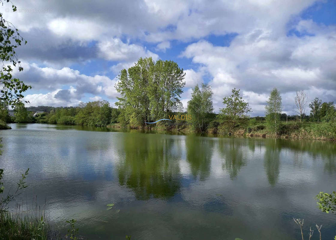 Terrain à BUCY-LE-LONG